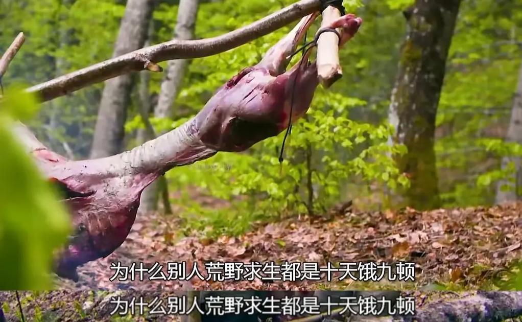 网红豪宅派对曝光：深夜争执与神秘嘉宾