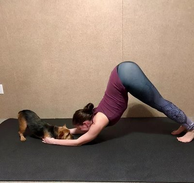 亚太地区央行面临的独特挑战：平衡汇率稳定与国内增长