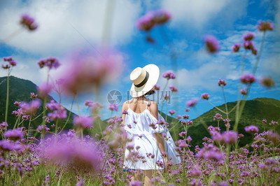 社交电商平台虚假销量：商家刷单操控市场
