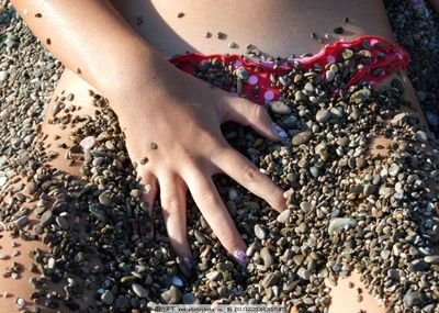 影视公司剽窃创意：编剧与导演公开指责